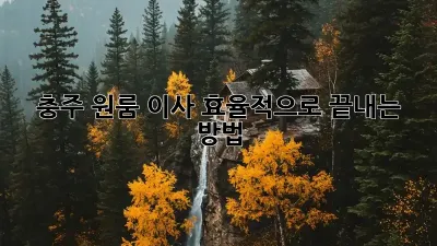 충주 원룸 이사, 효율적으로 끝내는 방법!