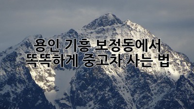 용인 기흥 보정동에서 똑똑하게 중고차 사는 법! 🚗💨